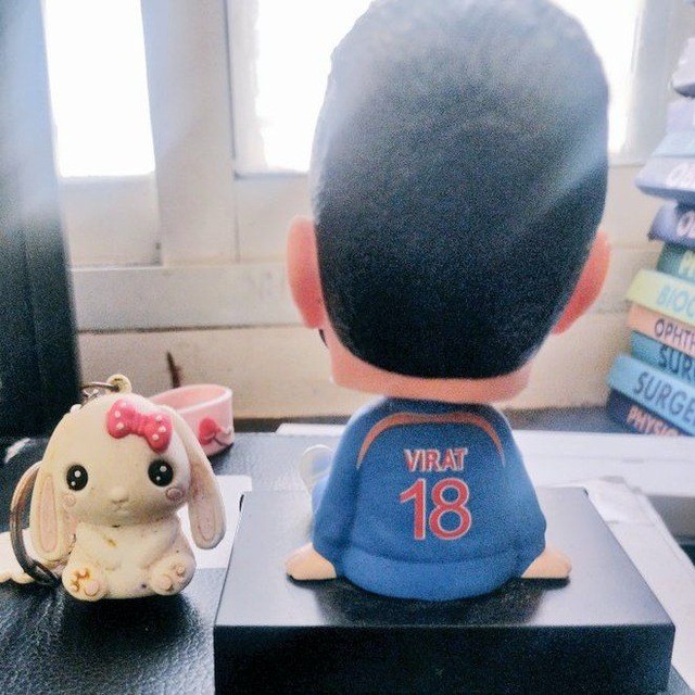 vivek