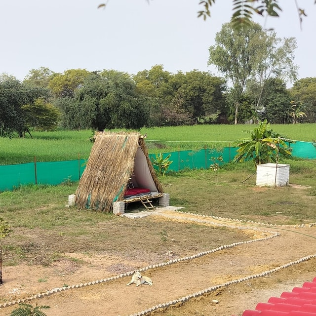 Khajuraho Permaculture