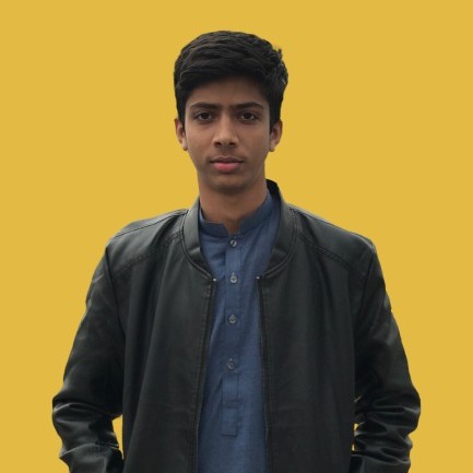 Muhammad Hameez