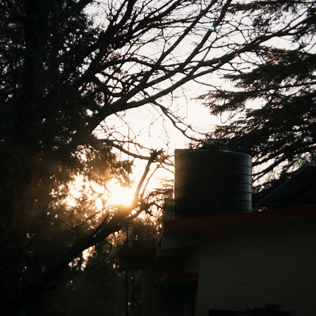 Anubhav
