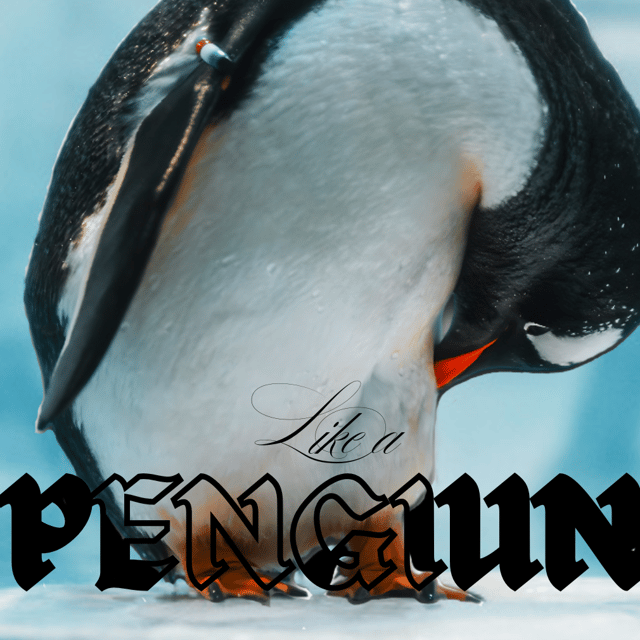 doc-thumbnail