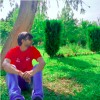 Mohit