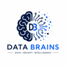 Data Brains