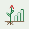 Root to Rank